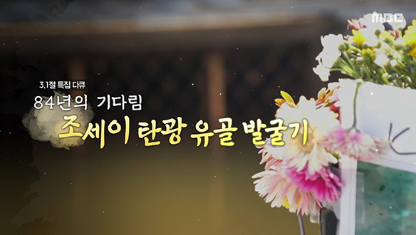 3.1절 특집 다큐 조세이탄광 유골발굴기