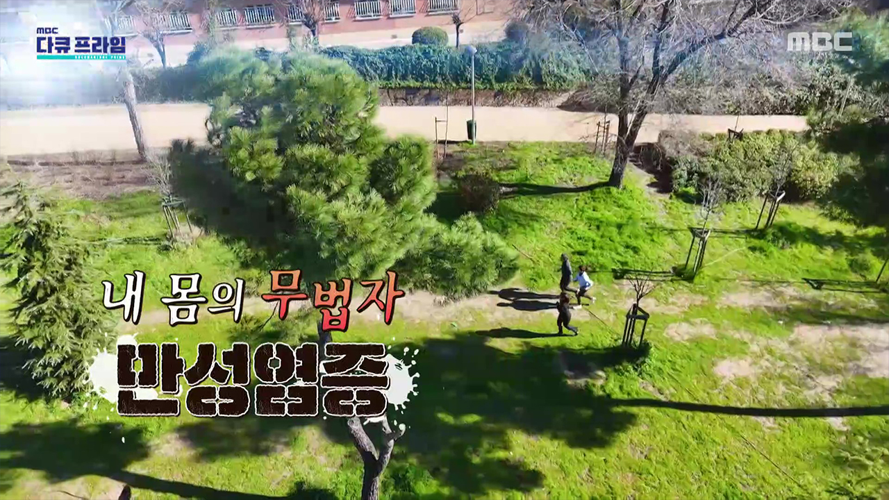 내 안의 무법자, 만성염증