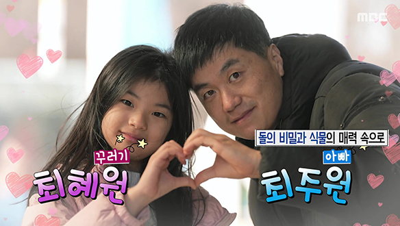 돌의 비밀과 식물의 매력 속으로