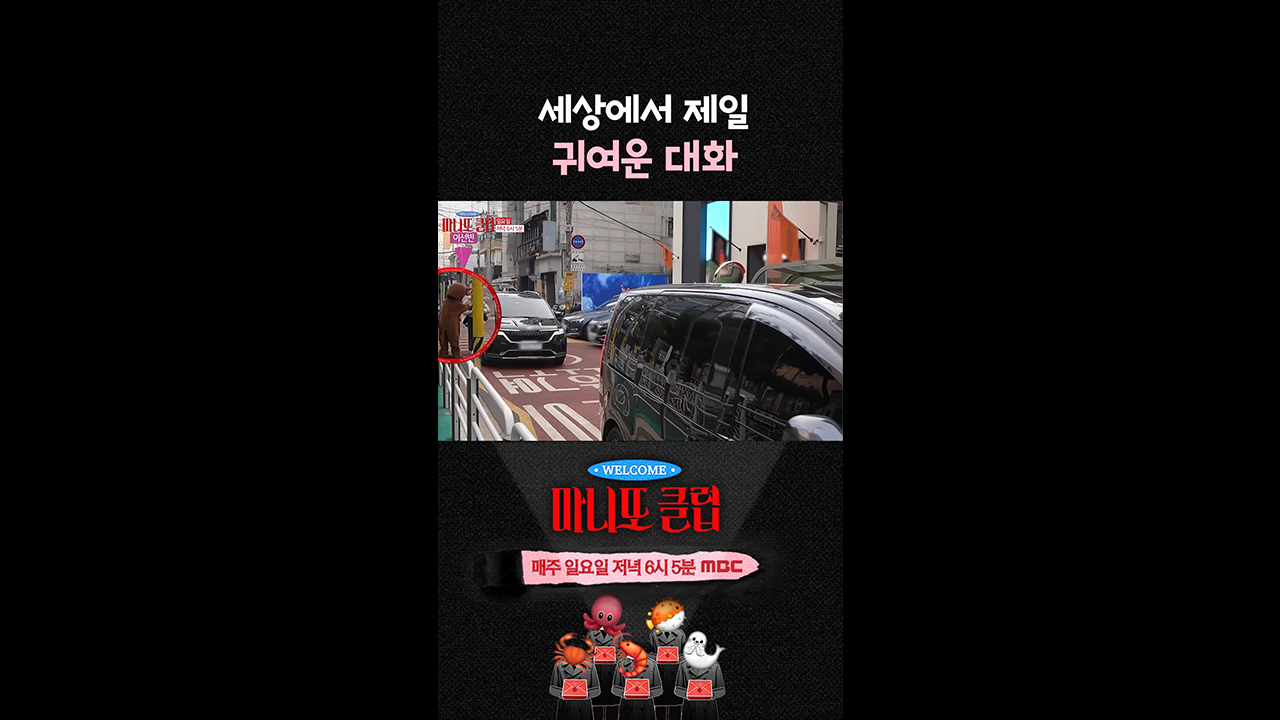 [쇼츠] 연기하는 이선빈 조금도 의심하지 않는 박보영✨ 클립