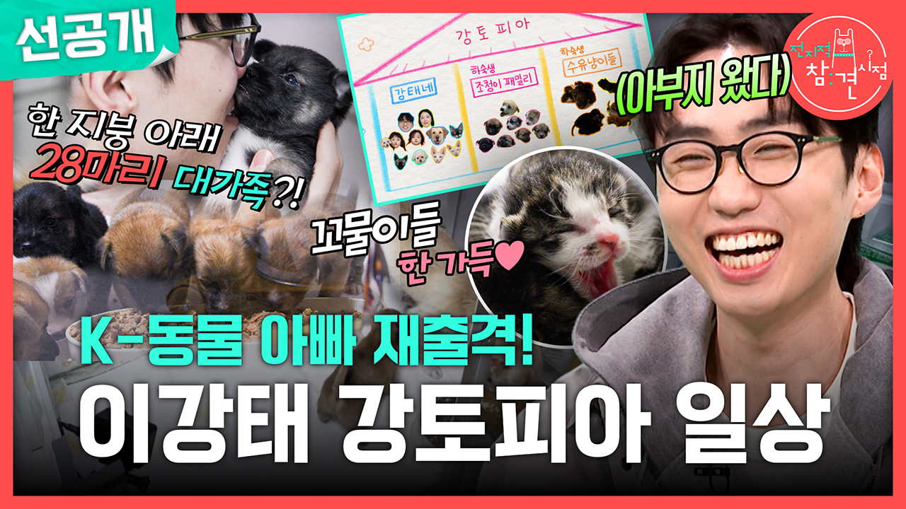 [선공개] K-동물 아빠 재출격! 이강태 강토피아 일상🐶🎶 클립