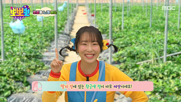 1. 색종이 때문에 <br>2. 바람 불기 <br>3. 딸기