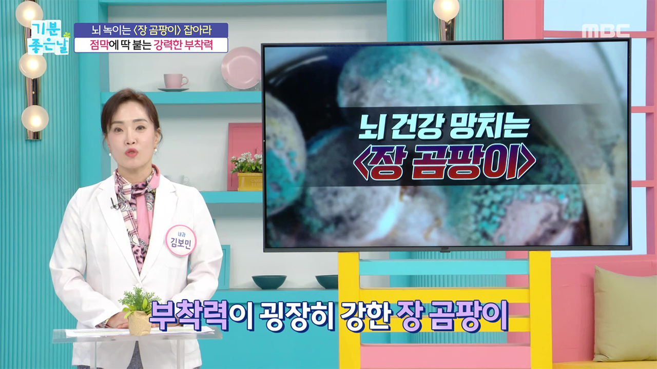 뇌춘X-파일 돈 버는 노후 vs 비참한 노후