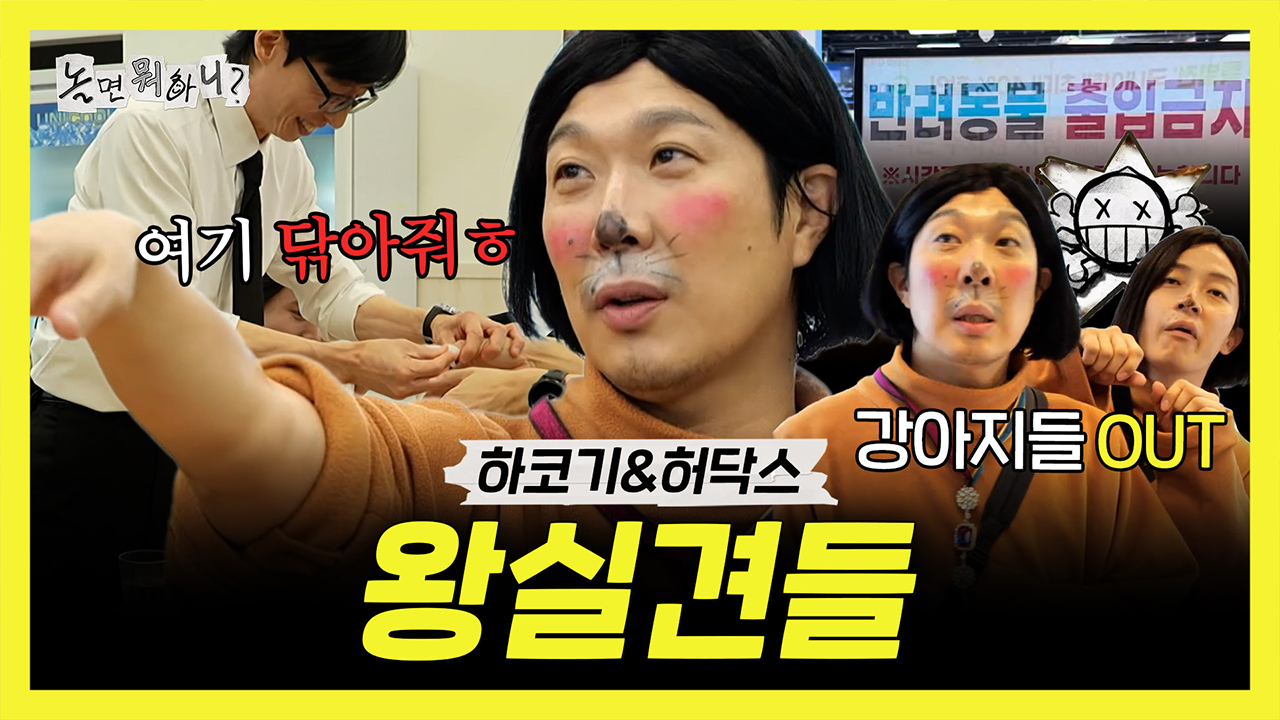 [기획영상] 품위있는(?) 왕실견들🐶 하코기와 허닥스 클립