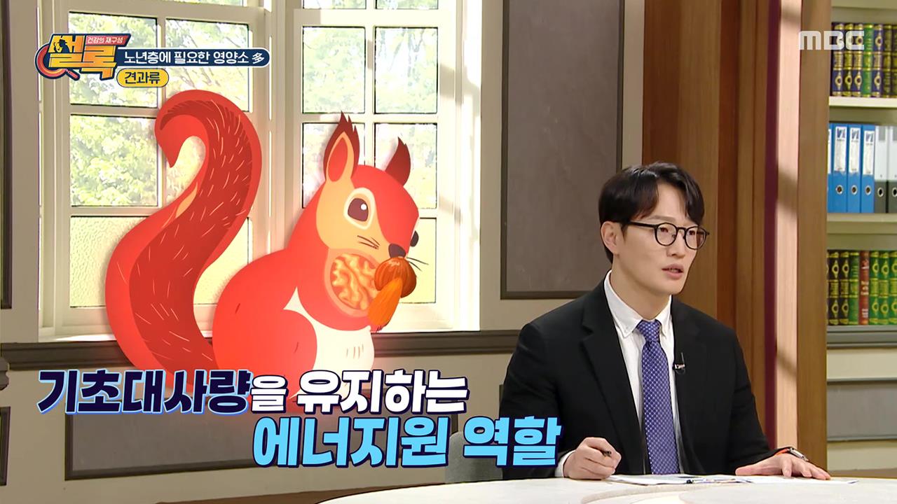 플레이어