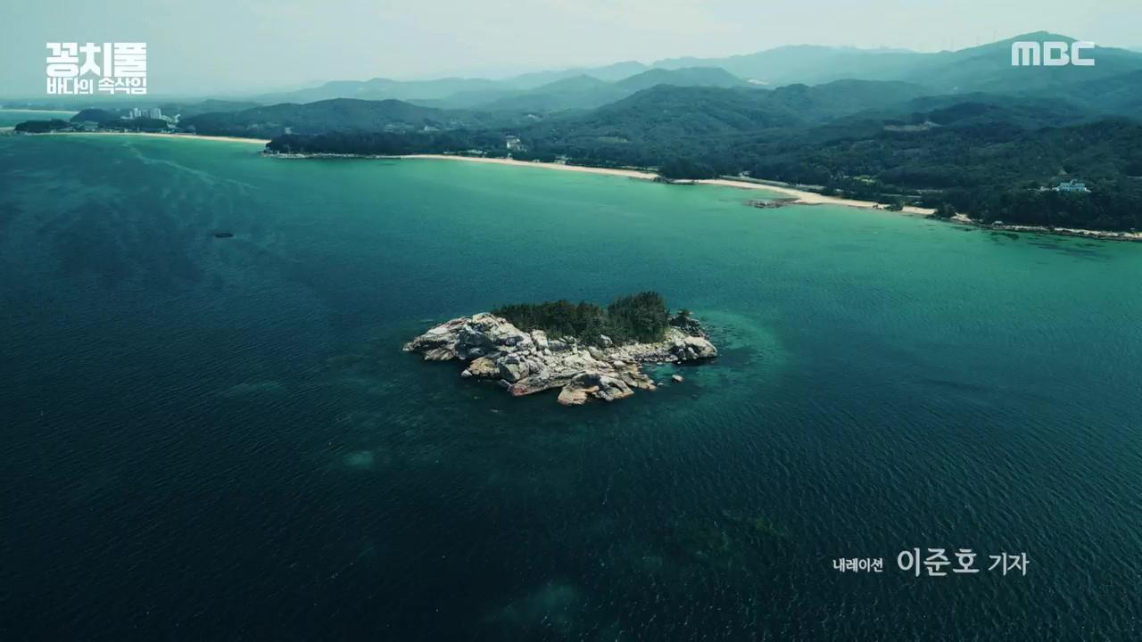 플레이어