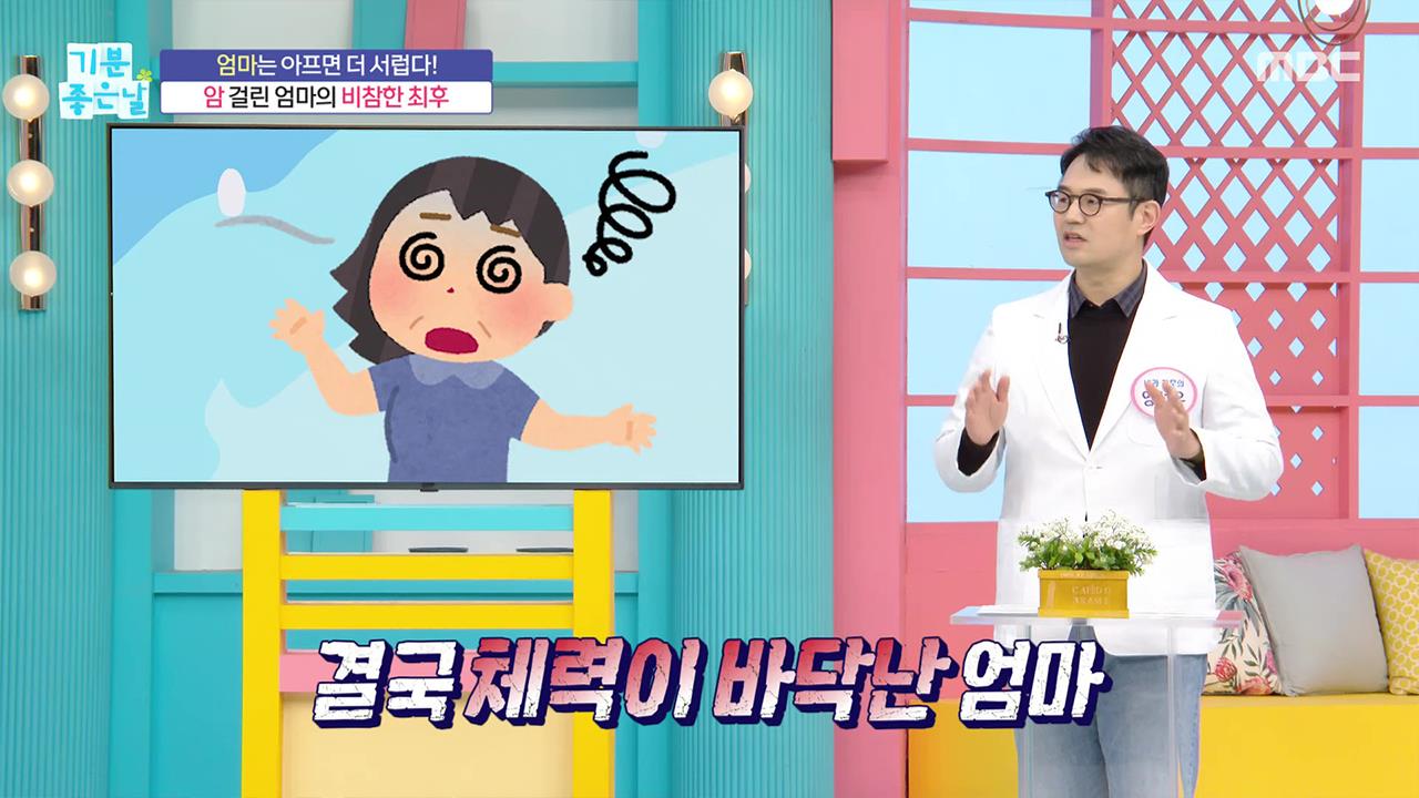 플레이어