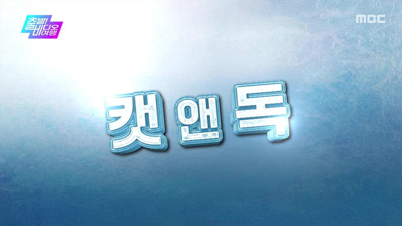 플레이어