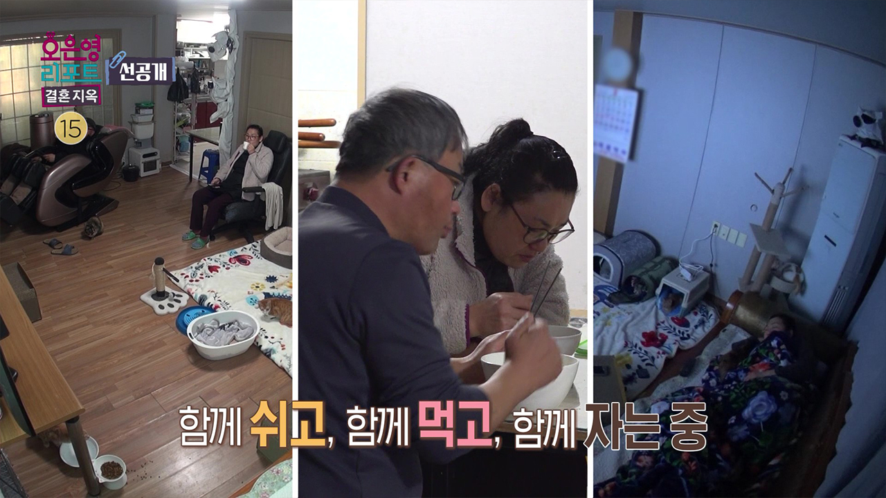 [선공개] 일상의 대부분을 동물과 함께 하는 부부 클립