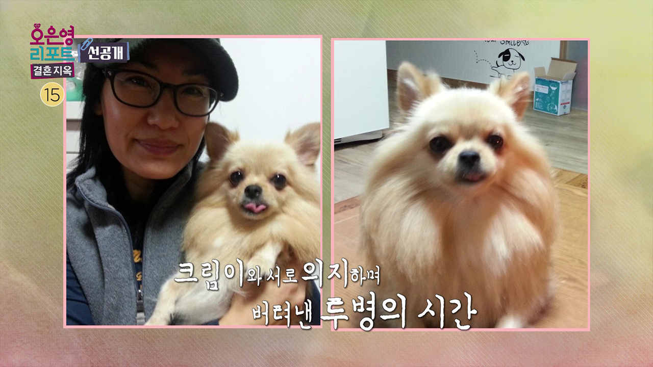 [선공개] 암 투병 중 정을 내어주게 된 강아지 한 마리 클립