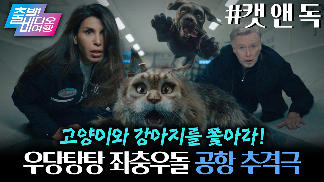 사람보다 더 비싼(?) 고양이와 강아지를 찾기 위한 대환장 수배 작전💥┃캣 앤 독 