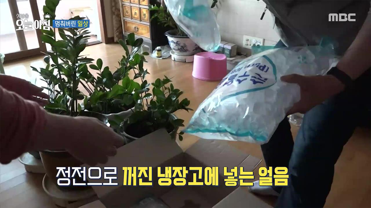 플레이어
