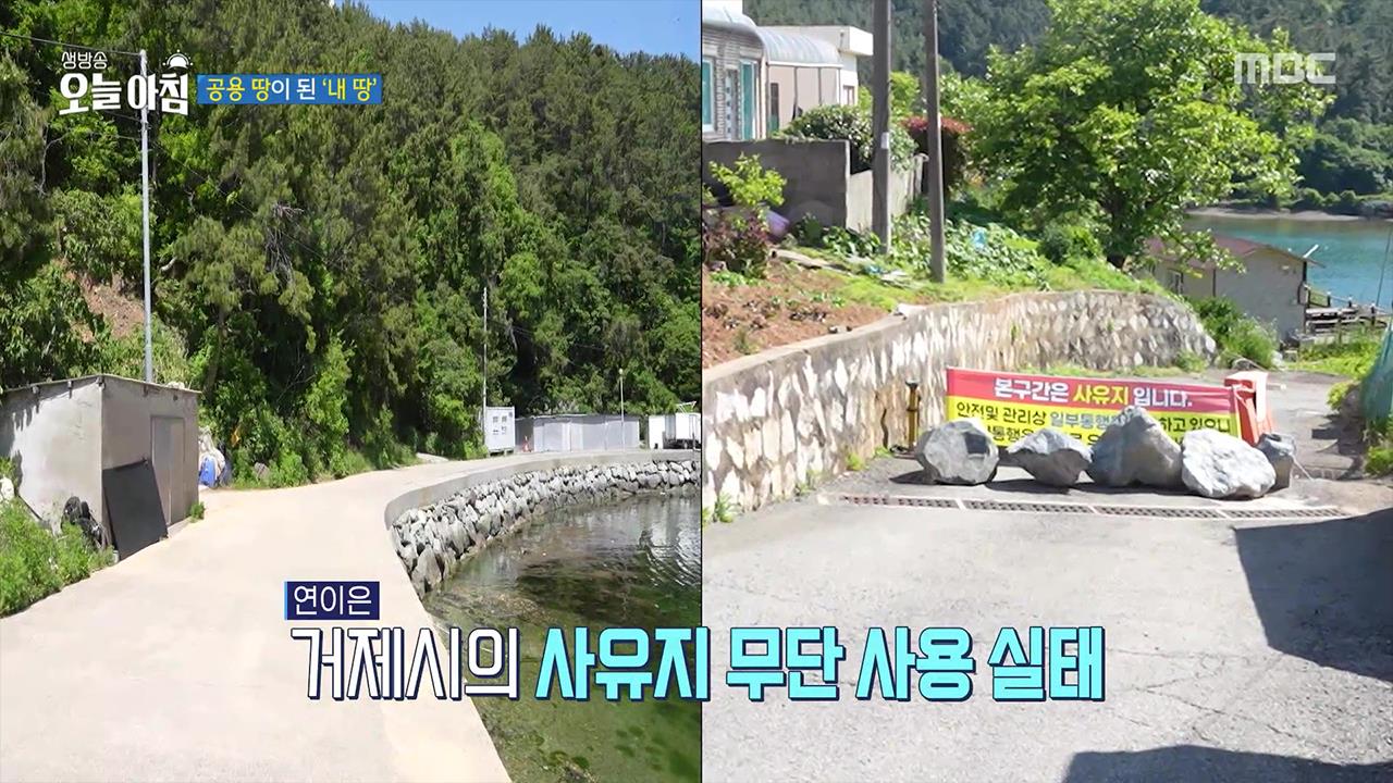플레이어