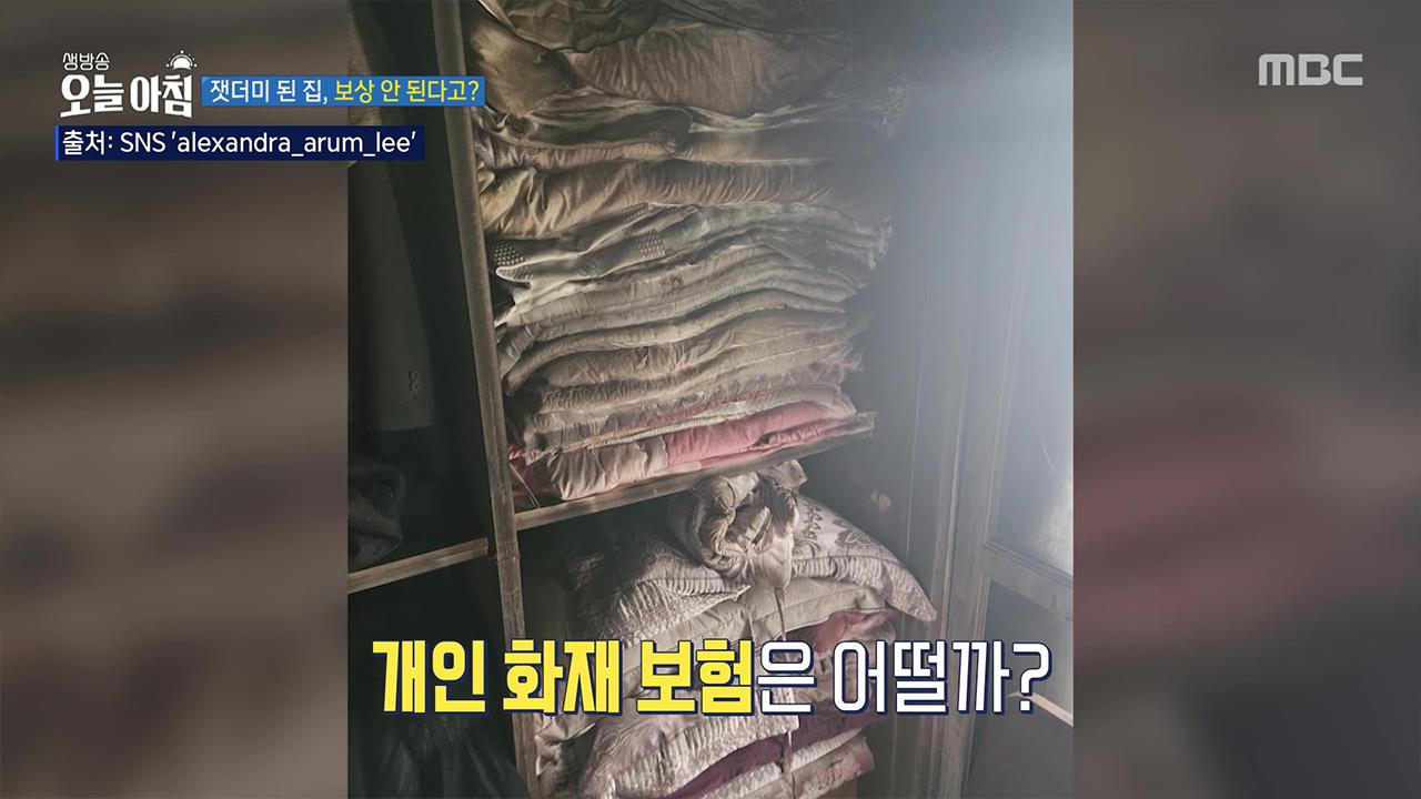 플레이어