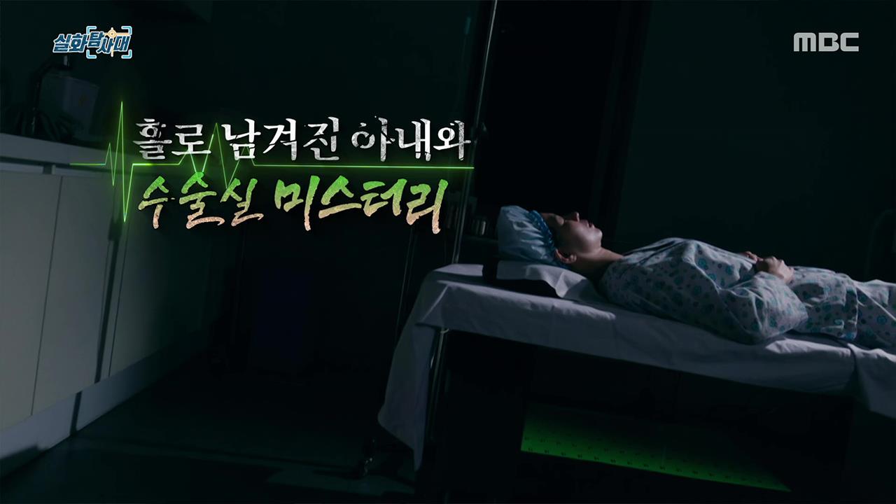 플레이어