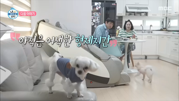 나 혼자 산다 648회 예고