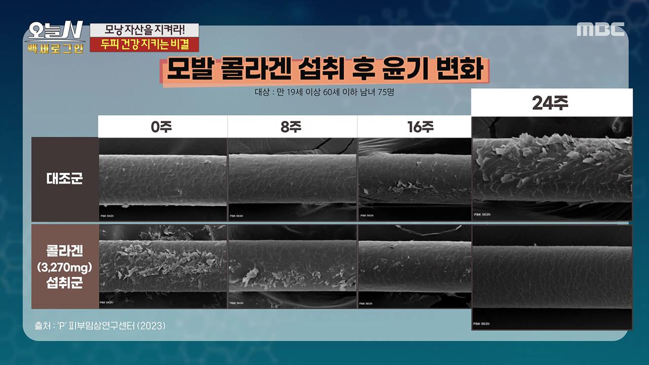 플레이어