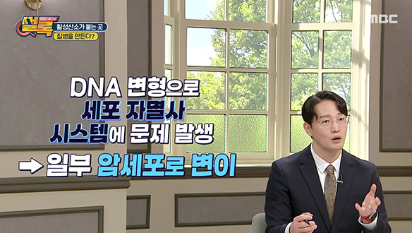직장암 4기... 항암 치료 17차 진행 중인 그녀의 사연