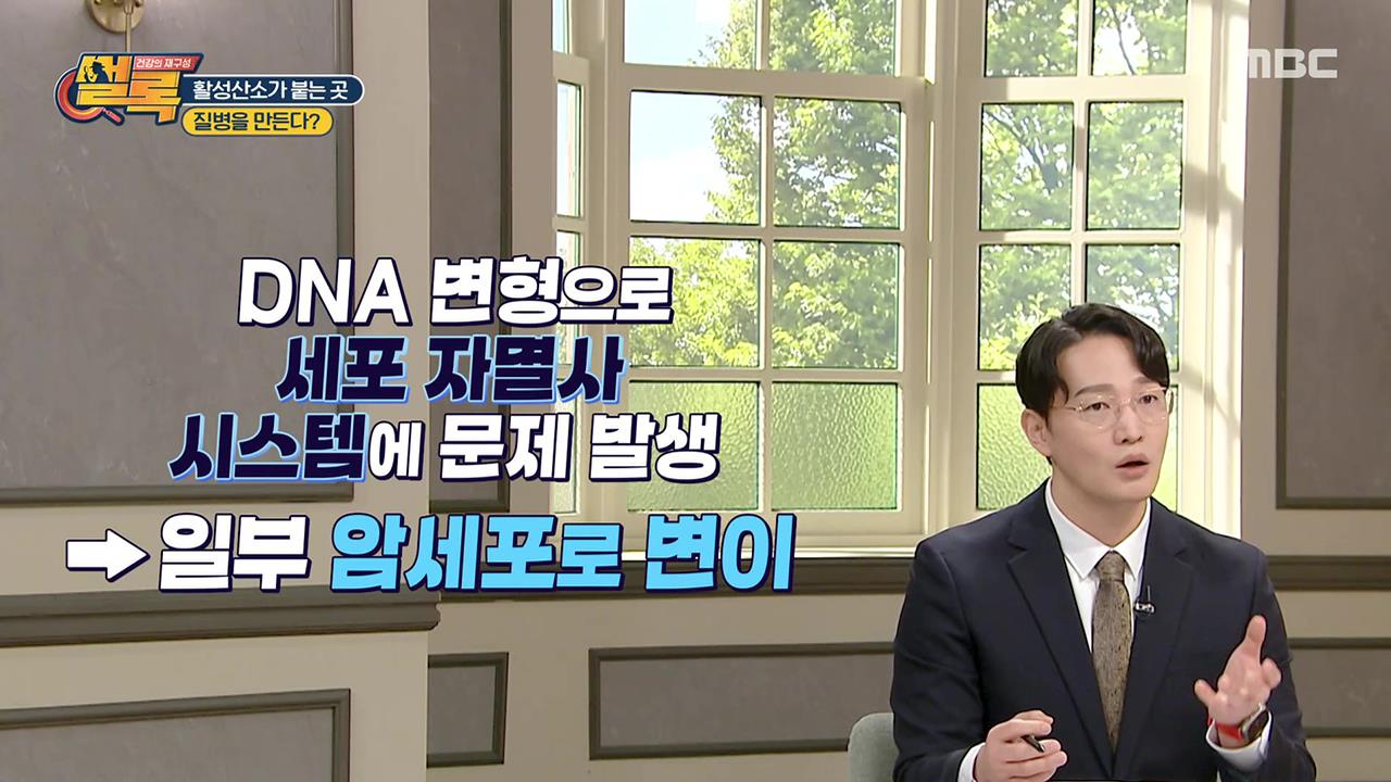 플레이어