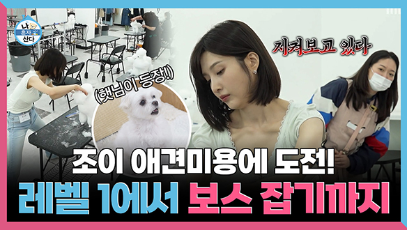 [기획영상] 애견미용에 도전하는 조이! 레벨 1에서 보스 잡기까지 클립