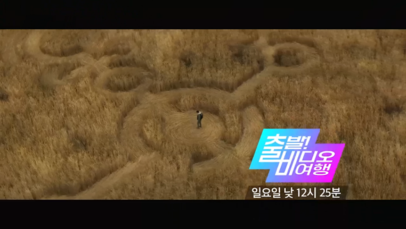 <어펙션>, <상자 속의 양>, <대가족>, <닥터 스트레인지>, <목스박>, <디스클로저 데이>, <와일드 씽>VS<싱 스트리트>, <만약에 우리>