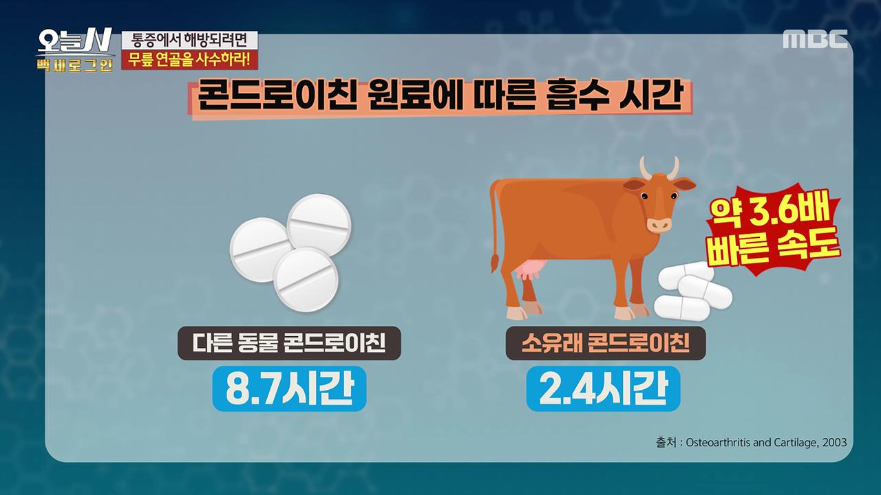 플레이어