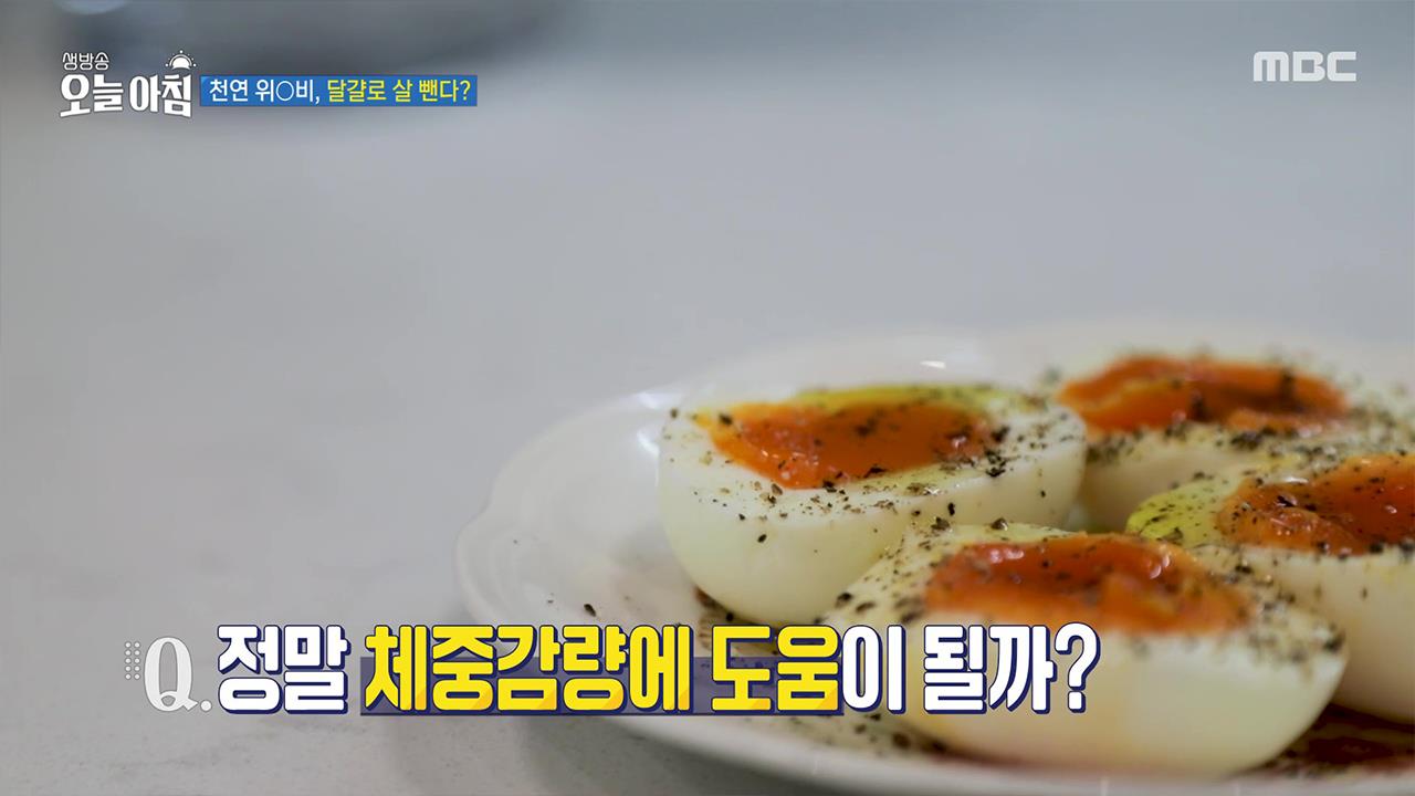 플레이어