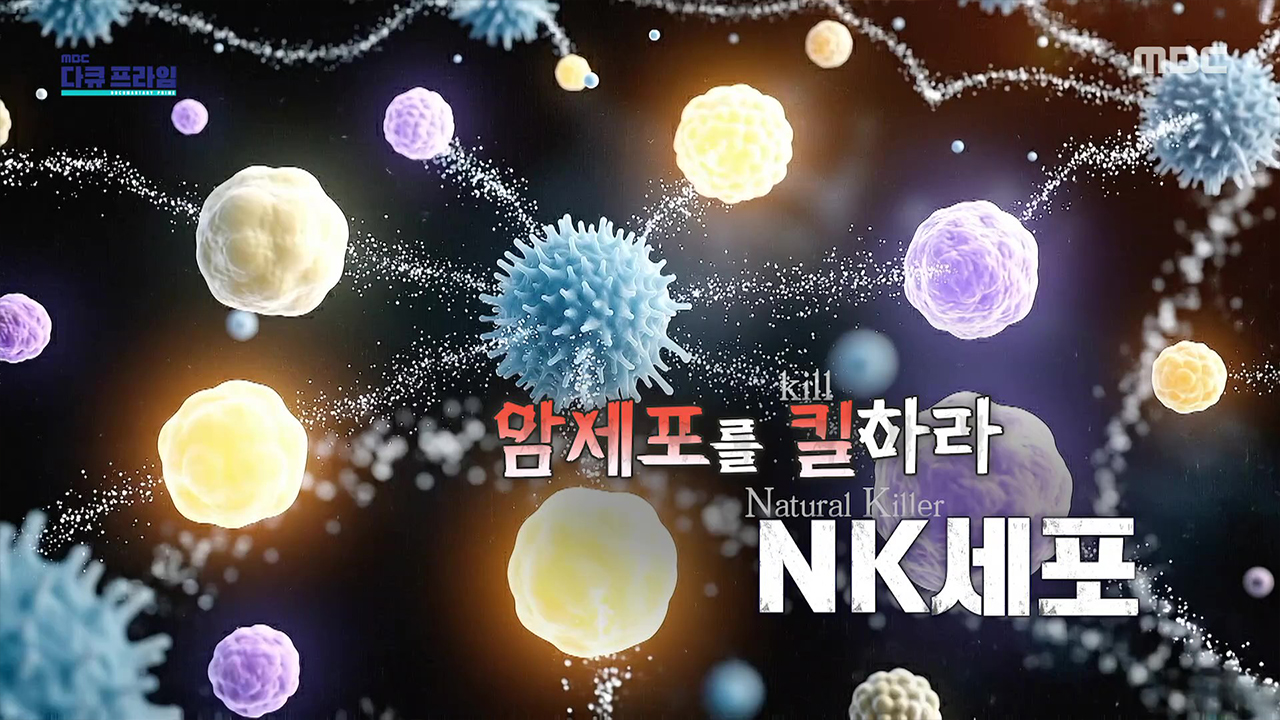 암세포를 킬kill하라 NK Natural Killer세포