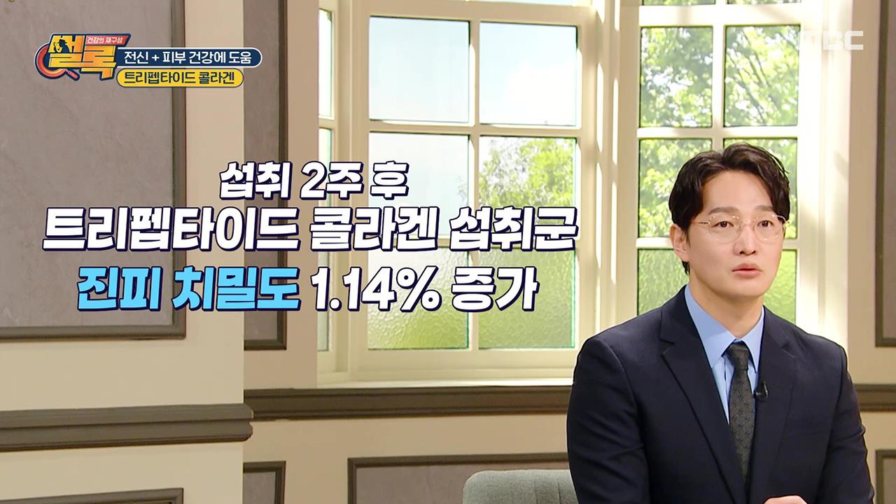 플레이어