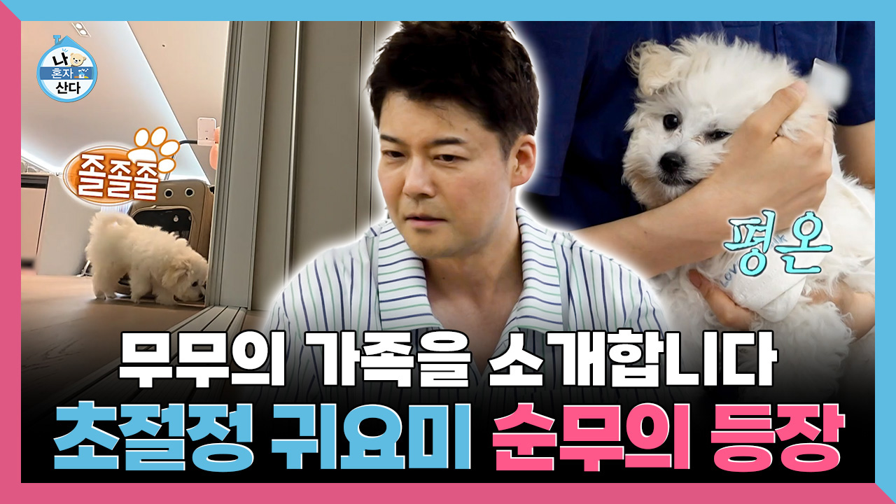 [기획영상] 무무의 가족을 소개합니다! 초절정 귀요미 순무의 등장🐾
