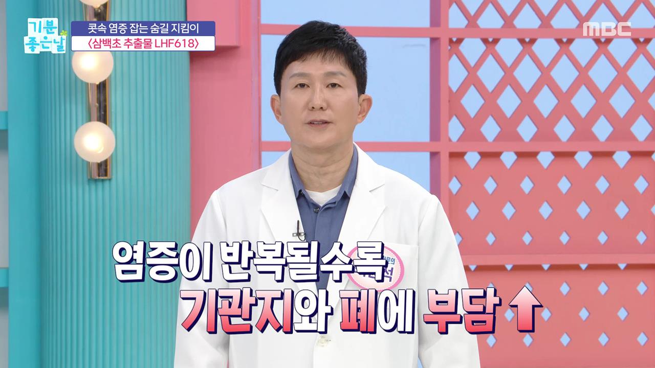 플레이어