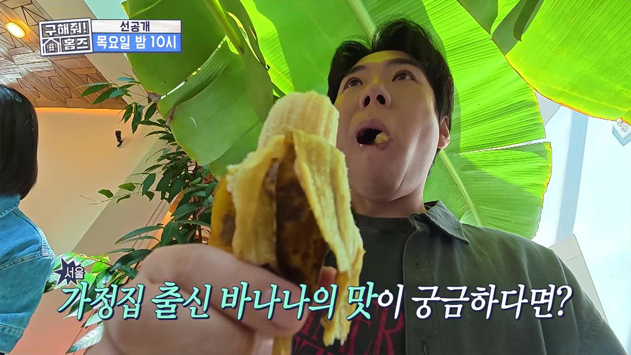 [선공개] 서울 가정집에서 바나나 수확을?!🍌 거실에서 딴 바나나 맛은?