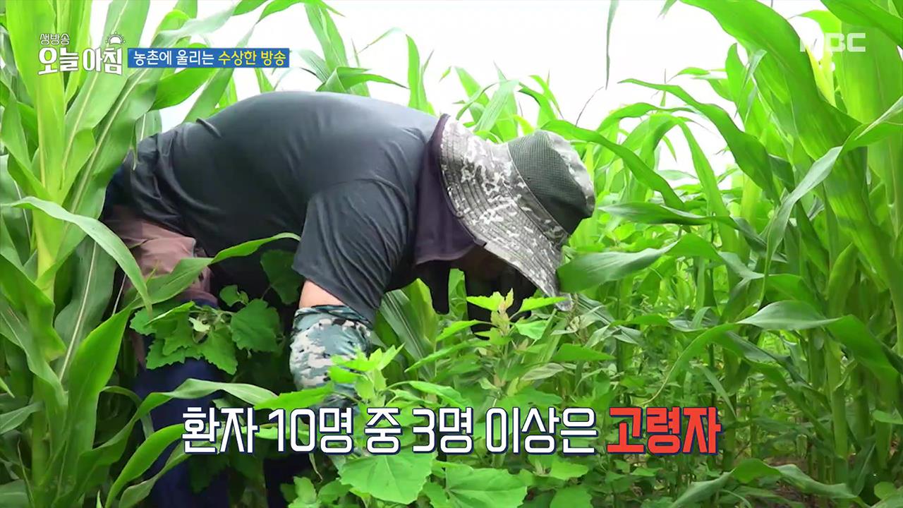 플레이어
