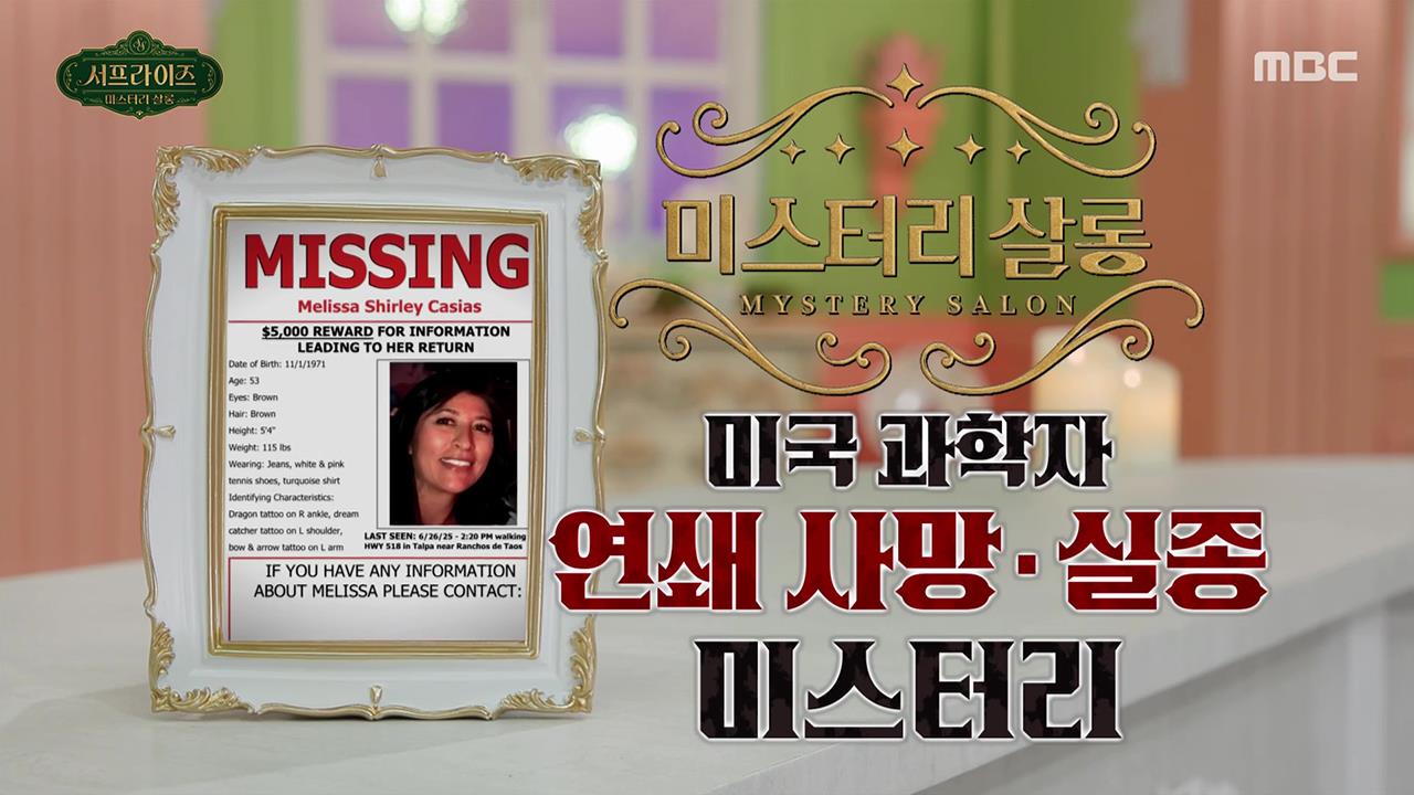 플레이어
