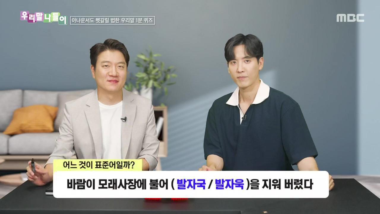 플레이어