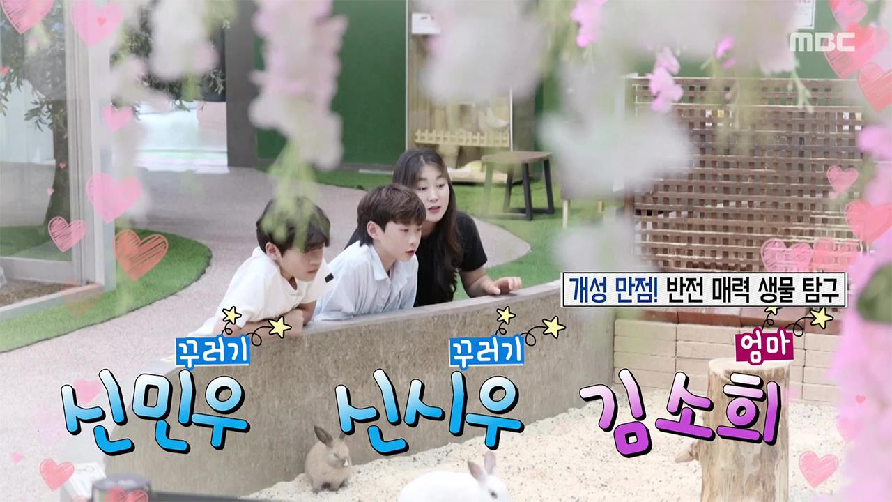 플레이어