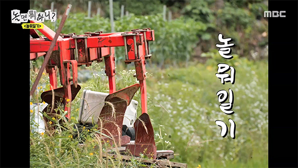 놀뭐일기
