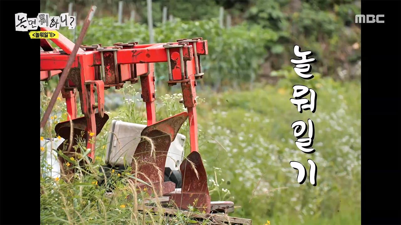 플레이어