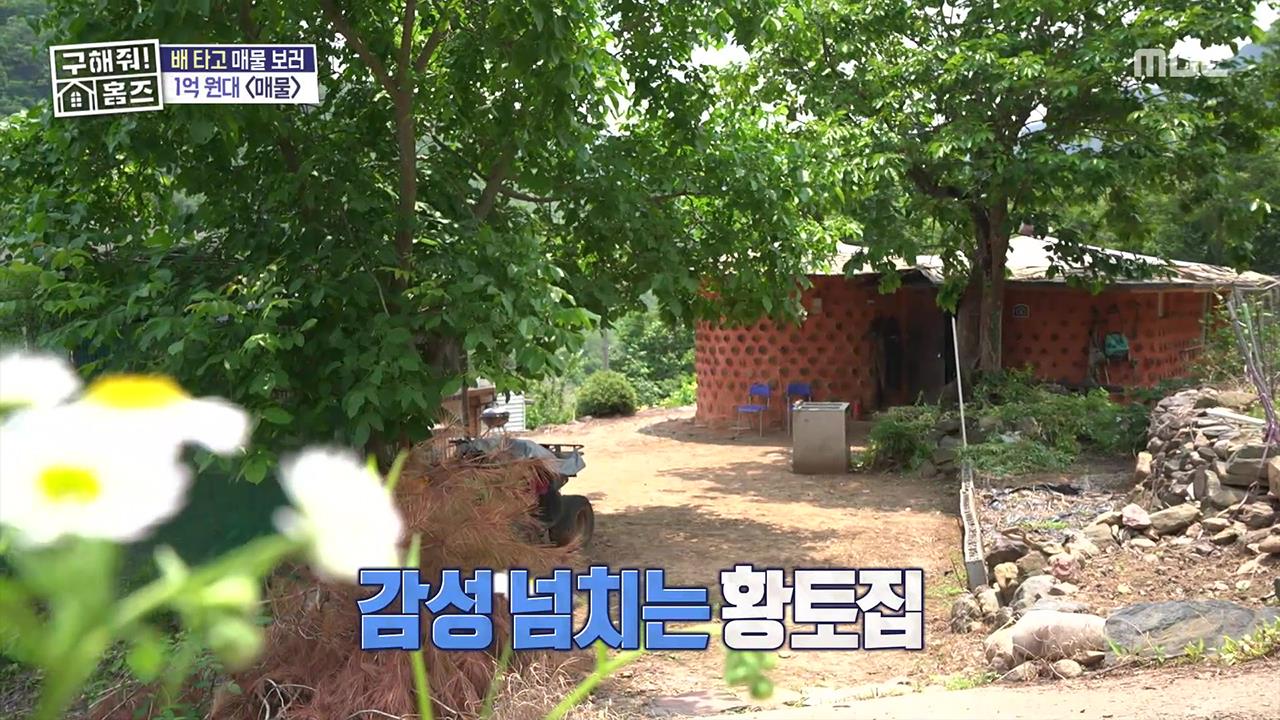 플레이어