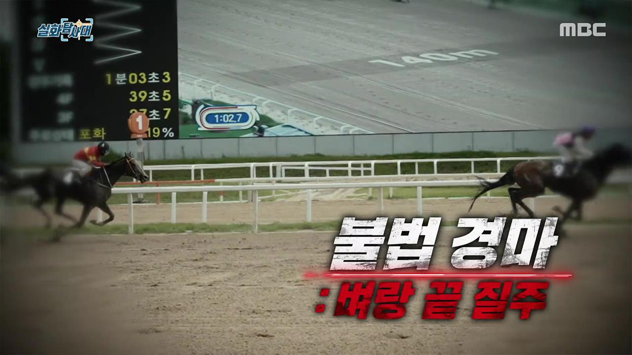 플레이어