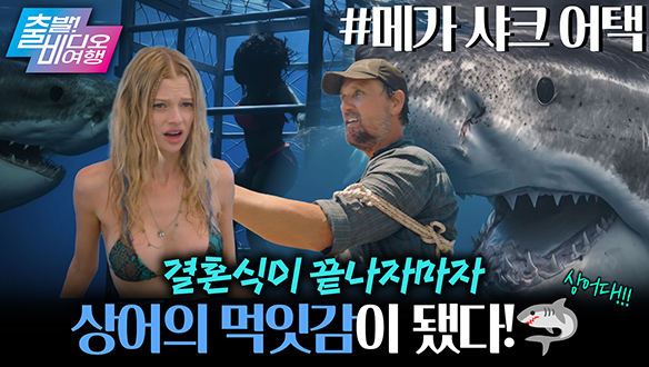 💍신혼여행도 못 가고 졸지에 상어 밥이 된 부부?!┃메가 샤크 어택 클립