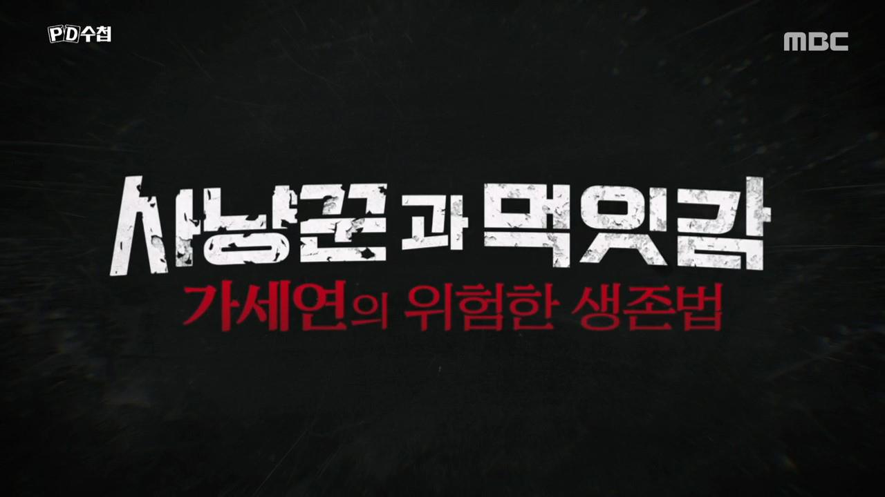 플레이어