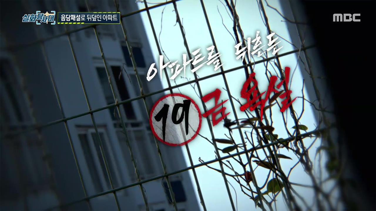 플레이어