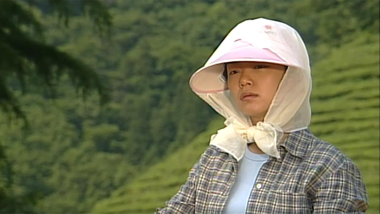 플레이어