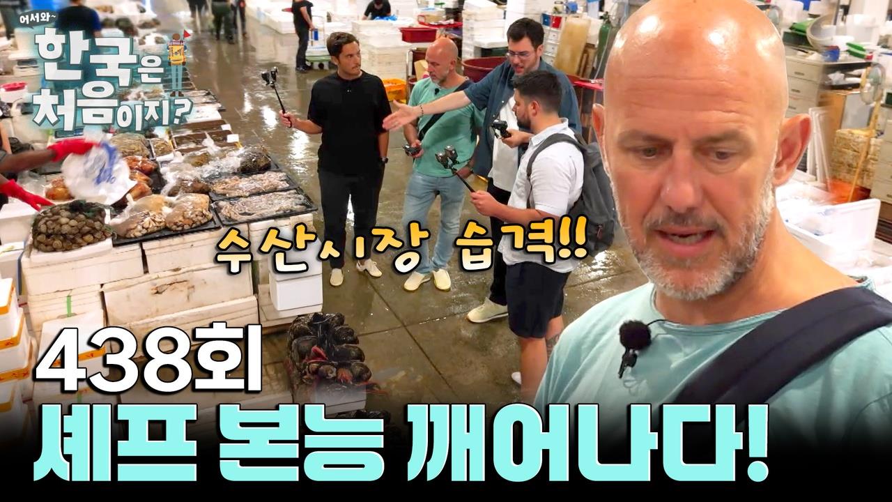 플레이어