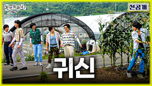 [선공개] 여름 옥수수가 무르익은 놀뭐골🌽 평화로운 마을에 드리운 수상한 기척?!😱