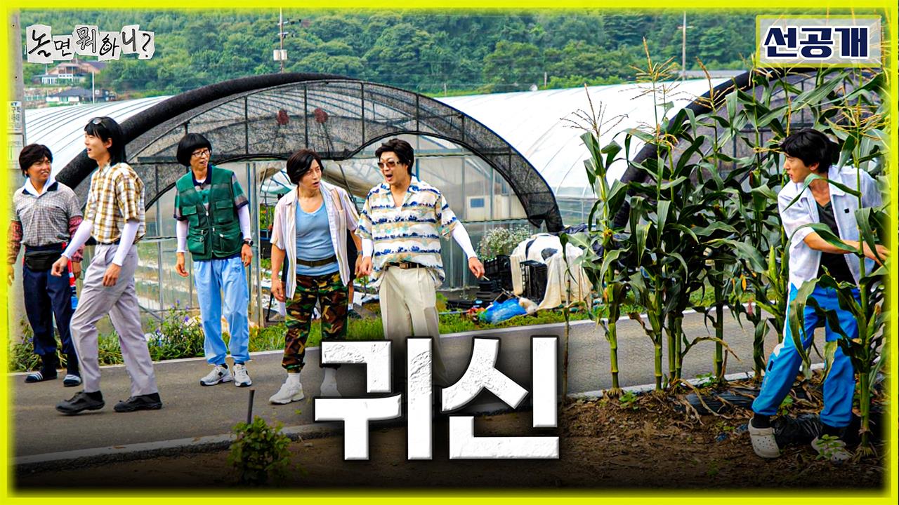 [선공개] 여름 옥수수가 무르익은 놀뭐골🌽 평화로운 마을에 드리운 수상한 기척?!😱 클립