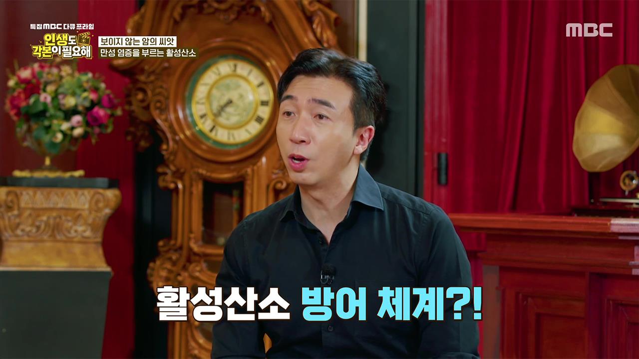 플레이어