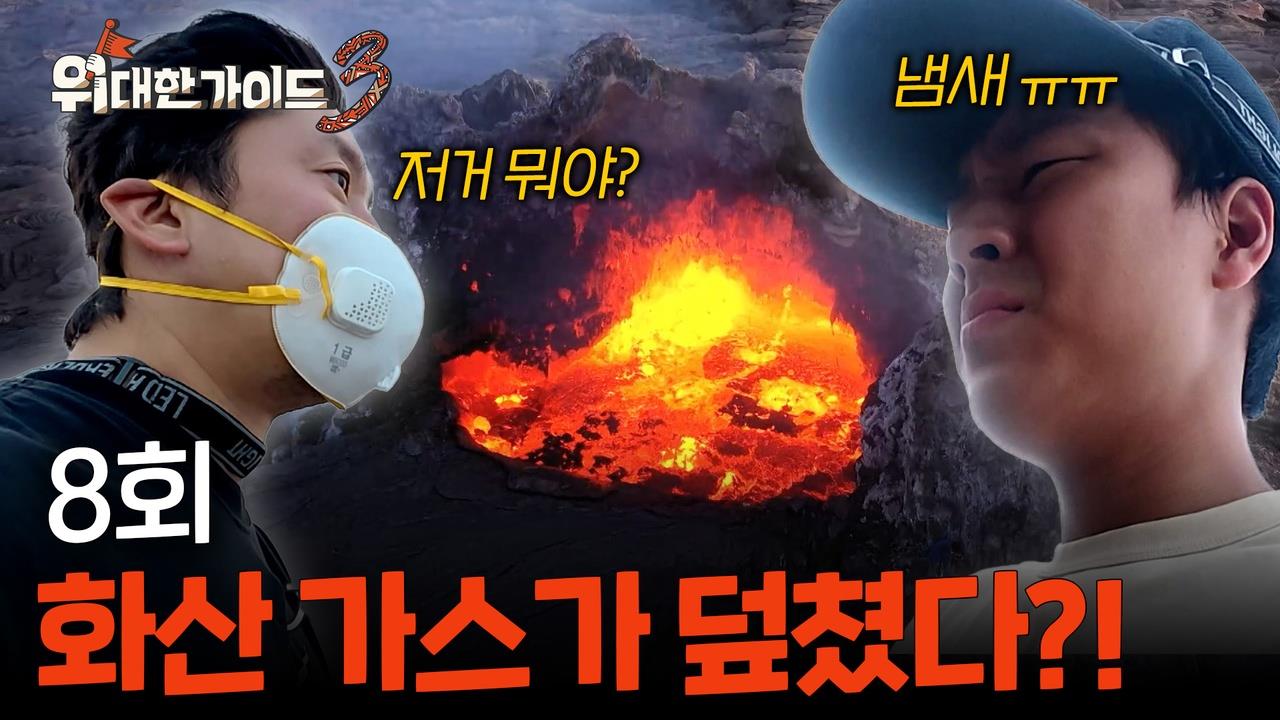 플레이어