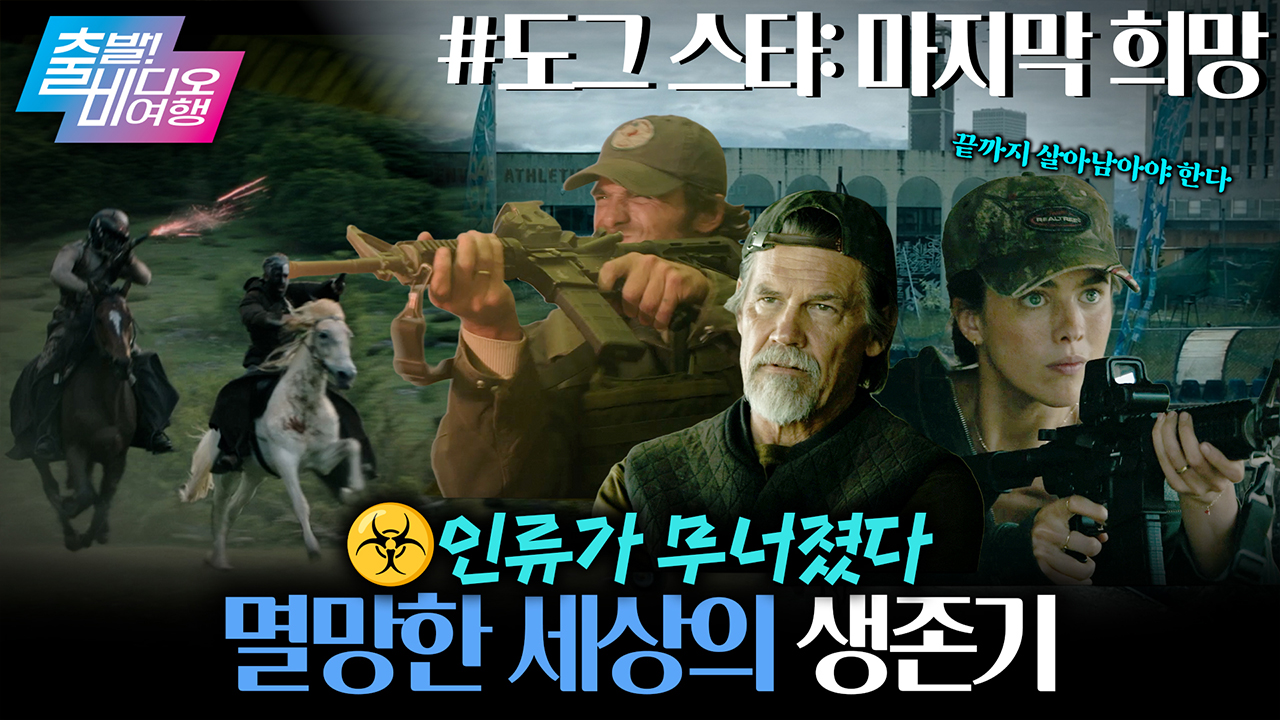 90세인데 아직도 현역이라고?! 리들리 스콧 클래스┃도그 스타: 마지막 희망